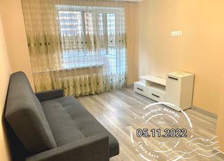 1-комнатная квартира в аренду, 31.6 м2, Мурино, улица Шувалова, 14, ЖК Созвездие