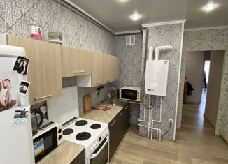 Продажа двухкомнатной квартиры, 48 м2, посёлок Молодёжный, улица Вадима Усова, 6, ЖК Молодёжный