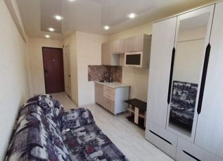 Продается квартира студия, 14 м2, Москва, Борисовский проезд, 44к1, метро Домодедовская