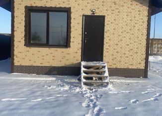 Продам дом, 45 м2, деревня Паново