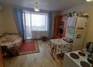 Продается 1-ком. квартира, 24 м2, село Фролы, Весенняя улица, 30, ЖК Белые Росы