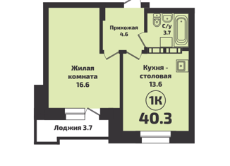 Продается квартира студия, 40.3 м2, Новосибирск, Красный проспект, 331/2, ЖК Инфинити