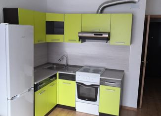 Продаю квартиру студию, 25 м2, Колпино, ЖК Новое Колпино