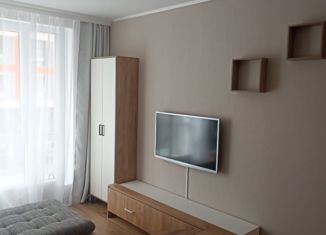 Продается квартира студия, 22.1 м2, посёлок Парголово, Толубеевский проезд, 8к2