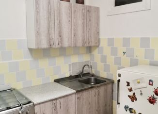 Продам 3-комнатную квартиру, 53.4 м2, Екатеринбург, улица Прониной, 30, улица Прониной