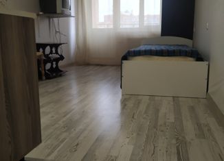 Продаю однокомнатную квартиру, 23.3 м2, село Зубово, улица Бориса Перина, 3