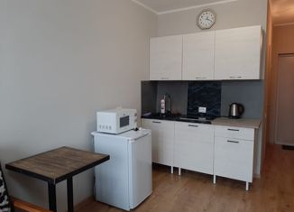 Продаю квартиру студию, 22.2 м2, посёлок Парголово, Толубеевский проезд, 8к2