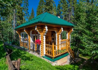 Продажа дома, 174 м2, деревня Мысы, Главная улица
