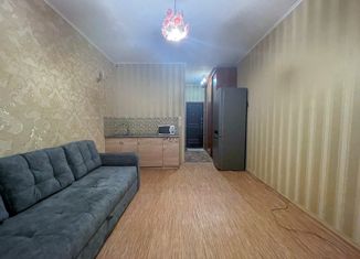 Квартира на продажу студия, 24.2 м2, Тюменская область, улица Иосифа Каролинского, 9