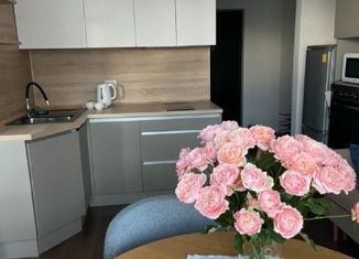 Сдается в аренду 1-ком. квартира, 35 м2, Санкт-Петербург, Гладышевский проспект, 38к1, Гладышевский проспект