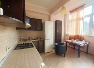 Продаю 1-ком. квартиру, 27 м2, Сочи, микрорайон Голубая Дача, улица Авроры, 1А