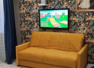 Однокомнатная квартира на продажу, 45 м2, деревня Новолисиха, Австрийский квартал, 6