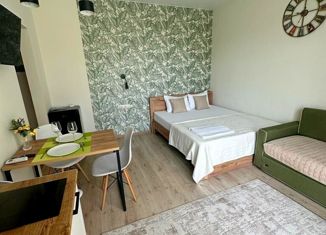 Продается квартира студия, 22 м2, Горячий Ключ, Санаторная улица, 13