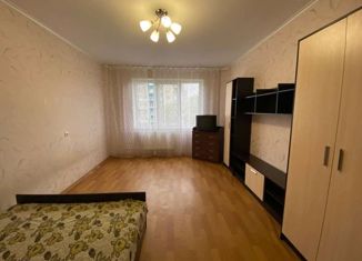 Продам однокомнатную квартиру, 42.1 м2, Санкт-Петербург, проспект Косыгина, 33к1