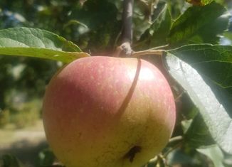 Продам дом, 16 м2, Будённовск