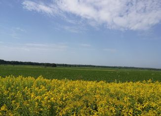 Продаю участок, 46 сот., посёлок Вершинино