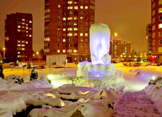 Продам квартиру студию, 19.5 м2, Зеленоград, Зеленоград, к2032