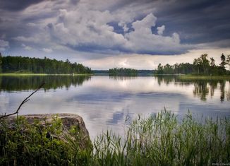 Продам земельный участок, 1430 сот., поселок Новая Деревня