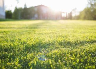 Продам земельный участок, 11 сот., деревня Ивонькино, 22Н-0731