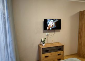 Квартира на продажу студия, 22 м2, посёлок Парголово, Толубеевский проезд, 8к2