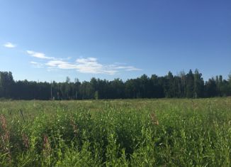 Продается участок, 12 сот., деревня Новое Комино