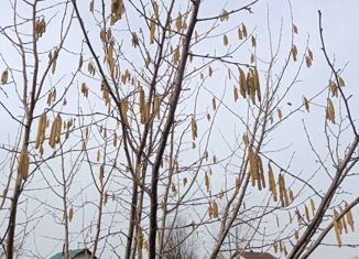 Продаю земельный участок, 1045 сот., деревня Шемякино, деревня Шемякино, 41