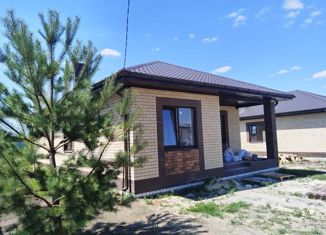 Продам дом, 90 м2, село Александровка, Грушевая улица, 17