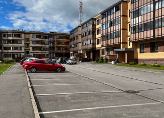 Продам квартиру студию, 23 м2, Сертолово, Пограничная улица, 4к1