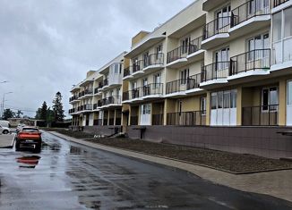 Продам квартиру студию, 23 м2, поселок Поляны, Выборгское шоссе, 49к3