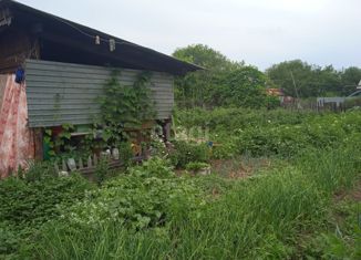 Дом на продажу, 50 м2, село Куропатино, Амурская улица, 38