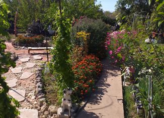 Продаю дом, 18 м2, СНТ Титан, СНТ Титан, 427