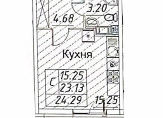 Квартира на продажу студия, 24.1 м2, Санкт-Петербург, проспект Авиаконструкторов, 54, Приморский район