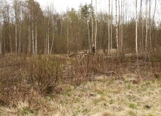 Продам земельный участок, 12 сот., ТСН Корневские Гривки, Прибрежная улица