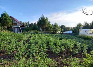 Продажа земельного участка, 9.94 сот., СНТ Баргузин