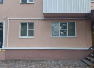 Продам 1-комнатную квартиру, 28.4 м2, Ставрополь, улица Михаила Морозова, 10, микрорайон № 2