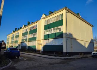 Продается 1-ком. квартира, 34.5 м2, деревня Гнусино, Трактовая улица, 17