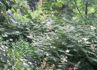 Продажа участка, 26.27 сот., дачный посёлок Зеленоградский, улица Чапаева, 2