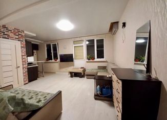 Продажа 1-комнатной квартиры, 30 м2, село Раздольное, Амбровая улица, 35