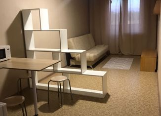 Продается квартира студия, 32 м2, Красноярск, улица Калинина, 175А, ЖК Глобус-Юг