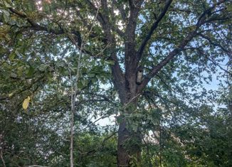 Продажа участка, 11 сот., посёлок Поливаново, Росинкин проезд