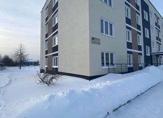 Продажа 2-комнатной квартиры, 42.5 м2, село Янишполе, Центральная улица, 54