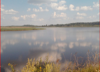 Продажа земельного участка, 3000 сот., сельское поселение Сильковичи