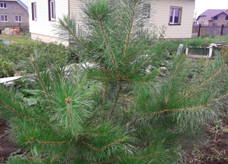 Продам дом, 77 м2, деревня Сабашево, Советская улица, 59