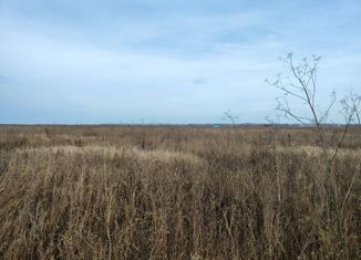 Продаю участок, 7.5 сот., село Селезни, улица имени Василия Поленова, 8