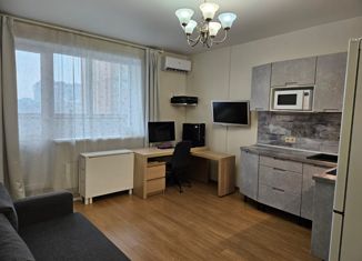 Продам квартиру студию, 25 м2, Новосибирск, улица Романова, 60