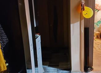 Продажа 2-комнатной квартиры, 50 м2, село Надеждино, Центральная улица, 19