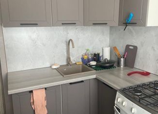 Сдача в аренду двухкомнатной квартиры, 50 м2, Владимир, Добросельская улица, 161Б, район Доброе