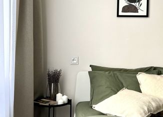 Продаю однокомнатную квартиру, 44.2 м2, Санкт-Петербург, Комендантский проспект, 13к1, метро Комендантский проспект