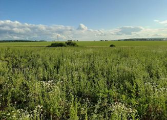 Продам участок, 800 сот., деревня Казадаевка