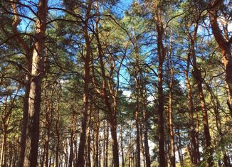 Продаю дом, 29 м2, СНТ Мелиоратор, СНТ Мелиоратор, 390